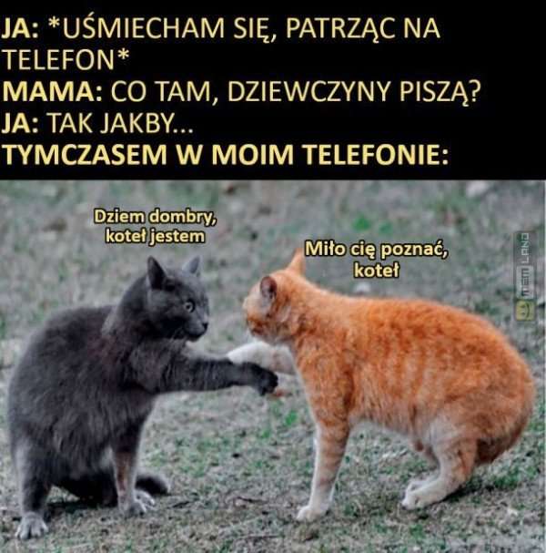 Śmieszny mem: 2596935 - MemLand