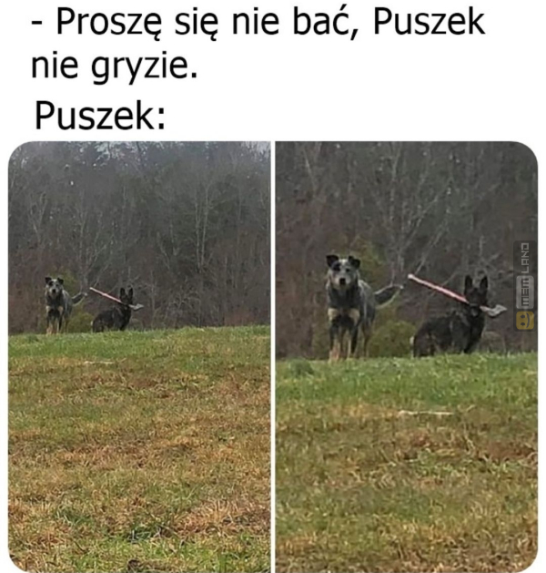 Śmieszny mem: 2598214 - MemLand