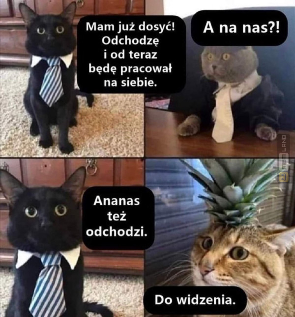 Śmieszny mem: 2600498 - MemLand