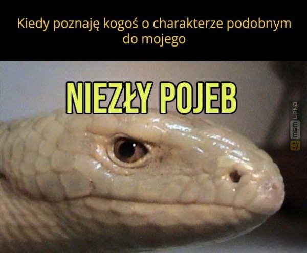 Śmieszny mem: 2603887 - MemLand