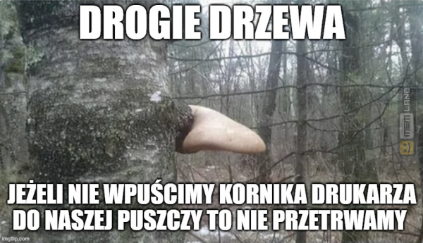 Śmieszny mem: 2604730 - MemLand