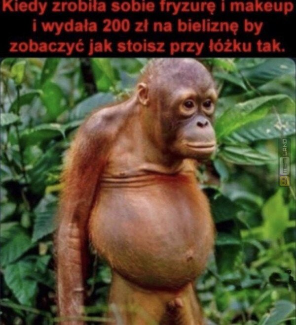 Śmieszny mem: 2607973 - MemLand