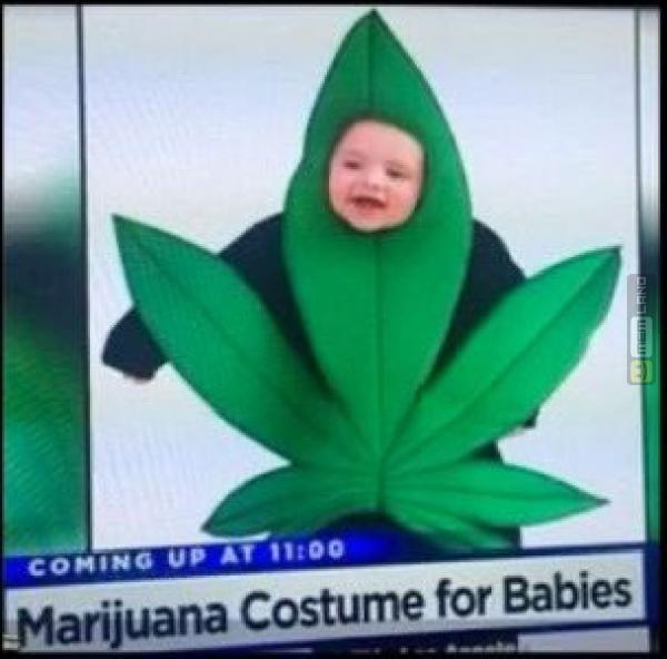 Śmieszny mem: 2610386 - MemLand