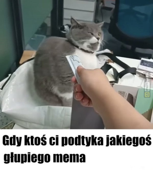 Śmieszny mem: 2616453 - MemLand