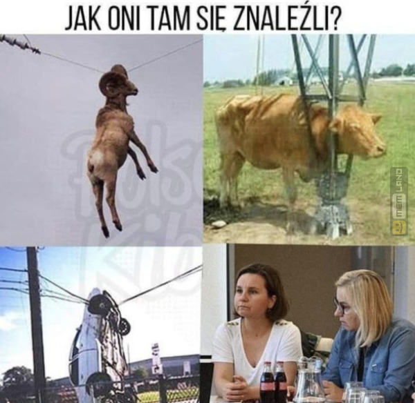Śmieszny mem: 2617292 - MemLand
