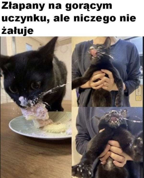 Śmieszny mem: 2625417 - MemLand