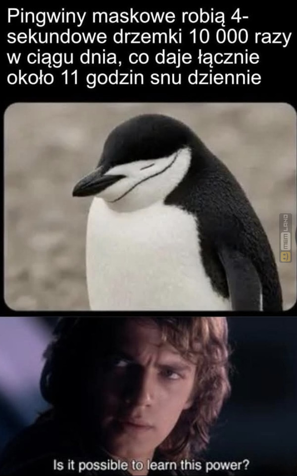 Śmieszny mem: 2631206 - MemLand