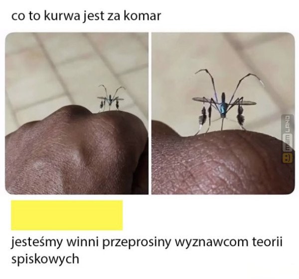 Śmieszny mem: 2632837 - MemLand
