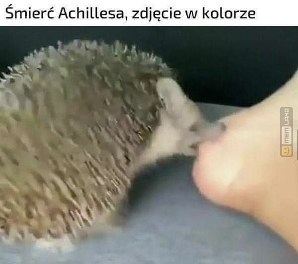 Śmieszny mem: 2643255 - MemLand
