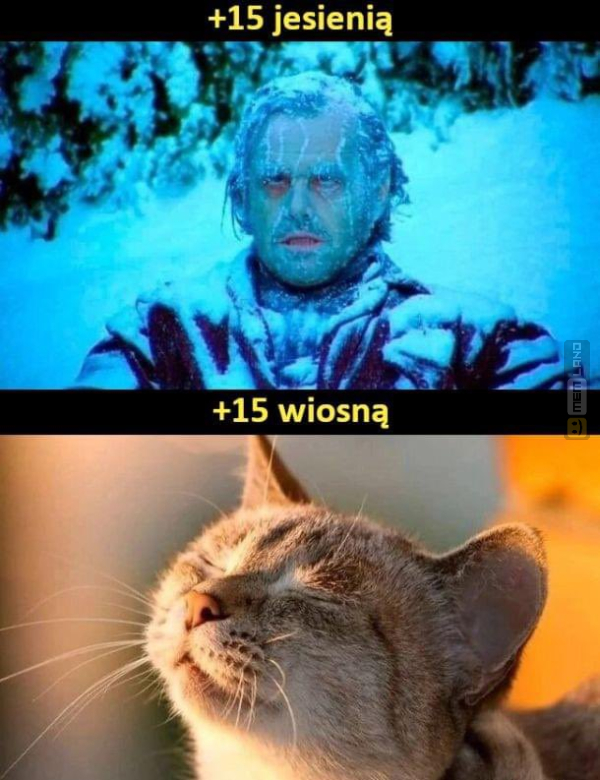 Śmieszny mem: 2644019 - MemLand