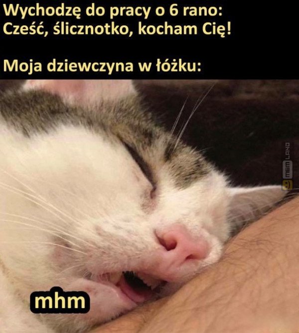 Śmieszny mem: 2644416 - MemLand