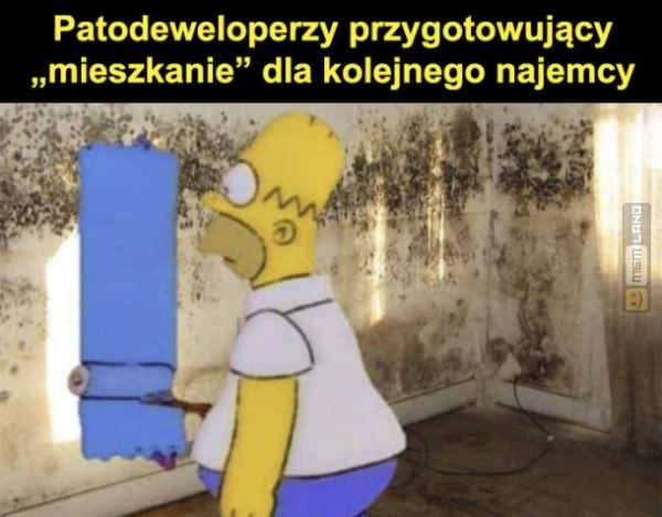 Śmieszny mem: 2645499 - MemLand