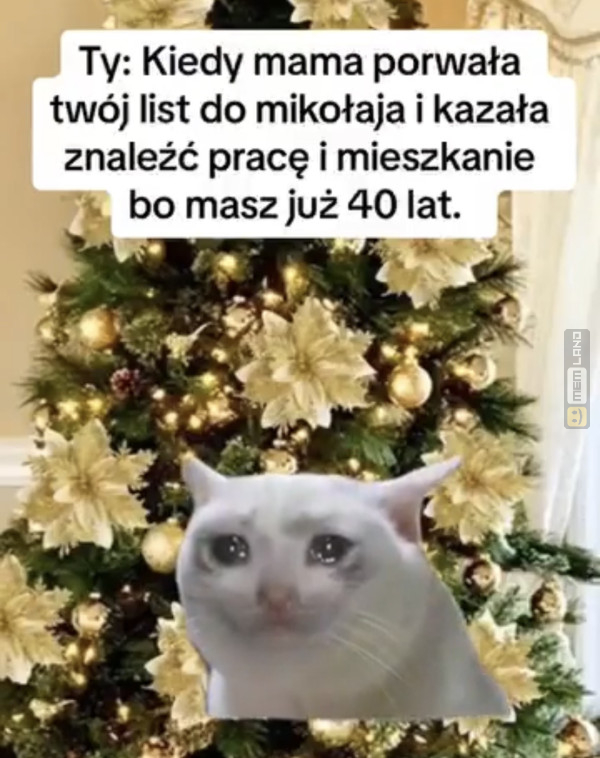 Śmieszny mem: 2647705 - MemLand