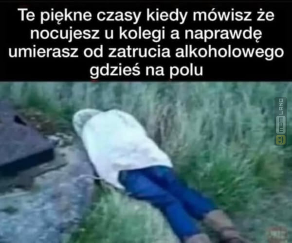 Śmieszny mem: 2649630 - MemLand