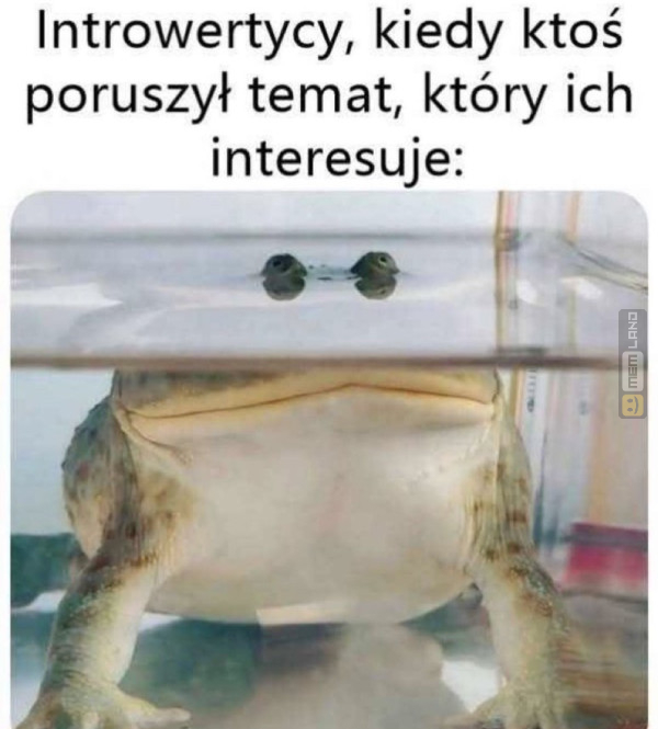 Śmieszny mem: 2650838 - MemLand