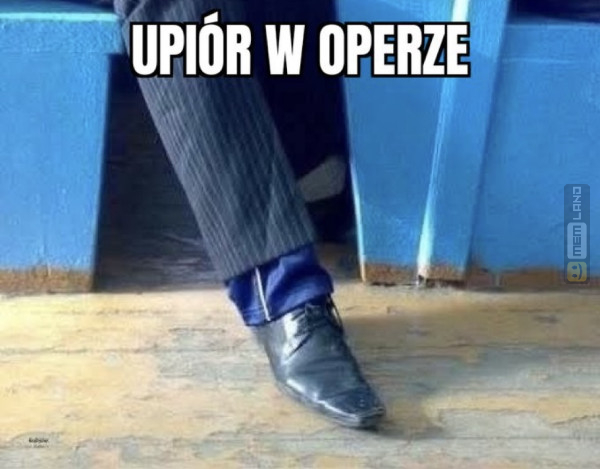 Śmieszny mem: 2652363 - MemLand