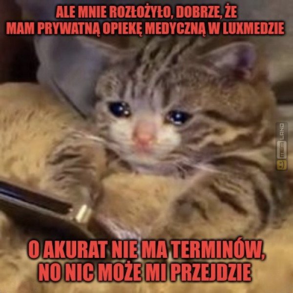 Śmieszny mem: 2657737 - MemLand