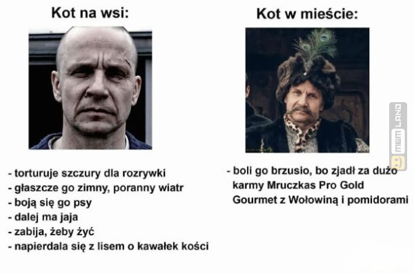 Śmieszny mem: 2666959 - MemLand