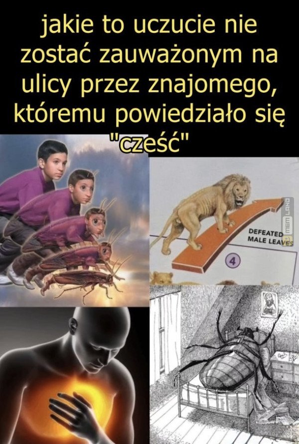 Śmieszny mem: 2671790 - MemLand