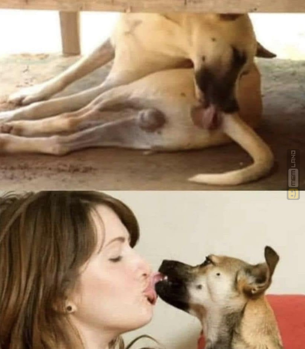 Śmieszny mem: 2680466 - MemLand