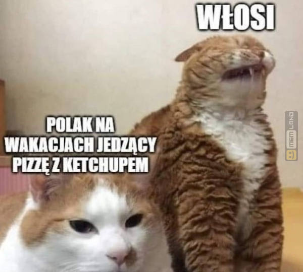 Śmieszny mem: 2681517 - MemLand