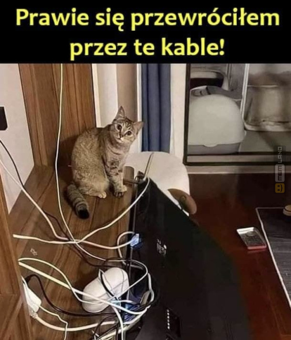 Śmieszny mem: 2685141 - MemLand