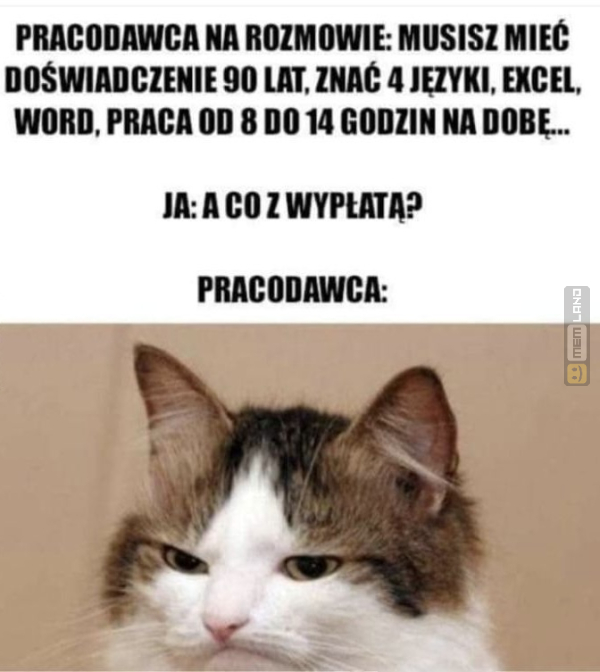 Śmieszny mem: 2691649 - MemLand