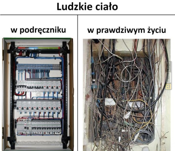 Śmieszny mem: 2704349 - MemLand