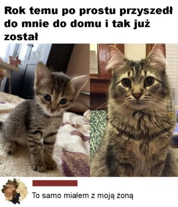 Śmieszny mem: 2709259 - MemLand