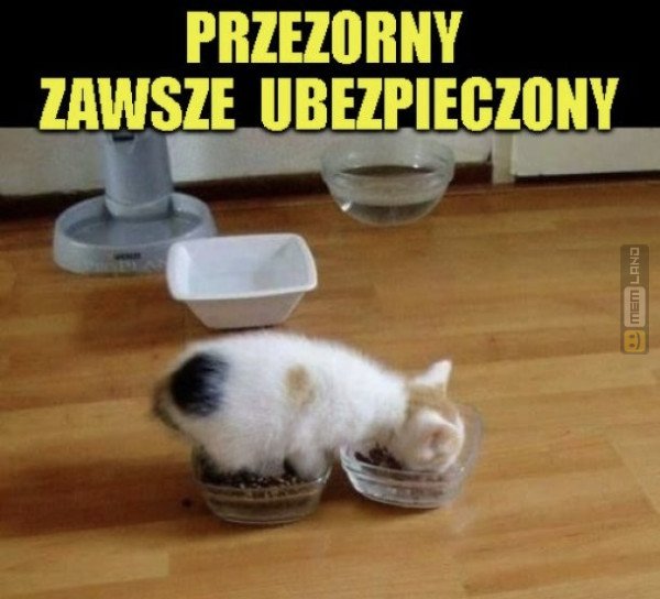Śmieszny mem: 2710737 - MemLand
