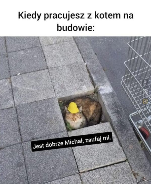 Śmieszny mem: 2727407 - MemLand