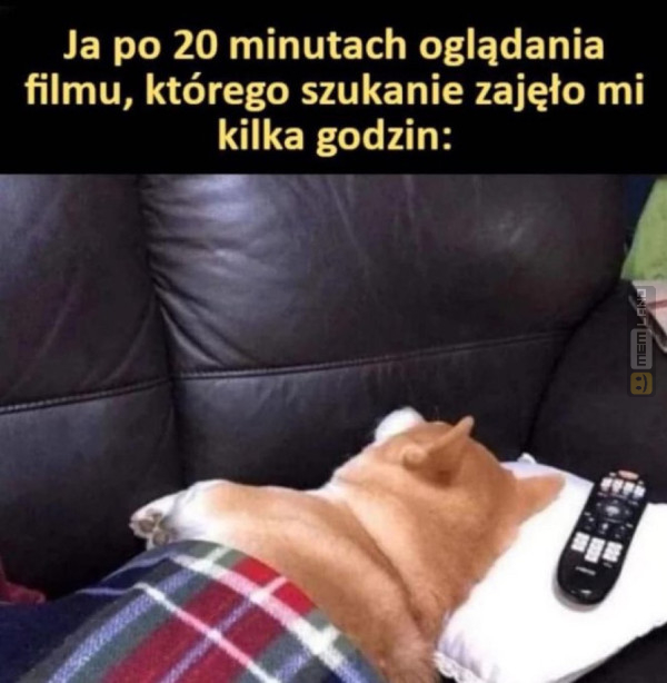 Śmieszny mem: 2737906 - MemLand