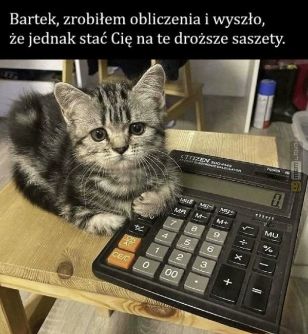 Śmieszny mem: 2745650 - MemLand