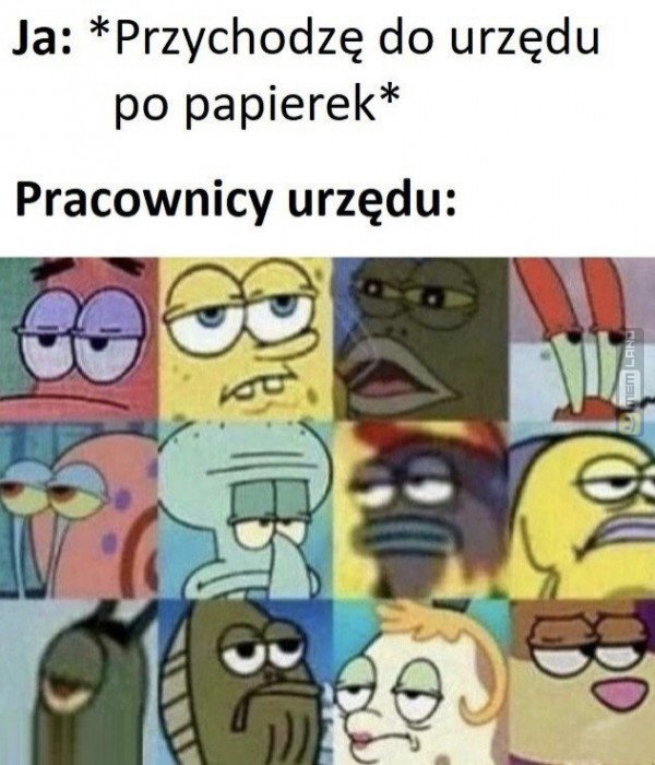 Śmieszny mem: 2746390 - MemLand