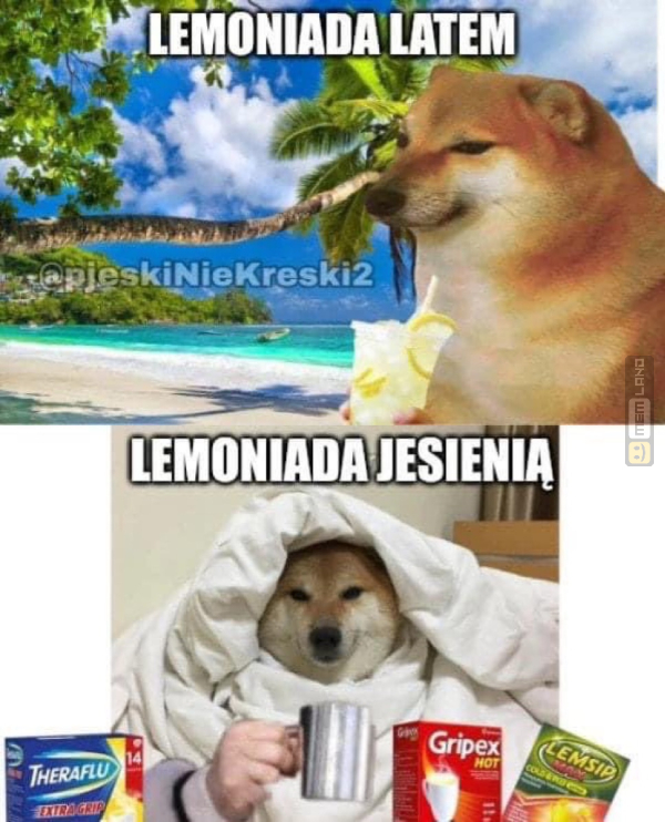 Śmieszny mem: 2748480 - MemLand