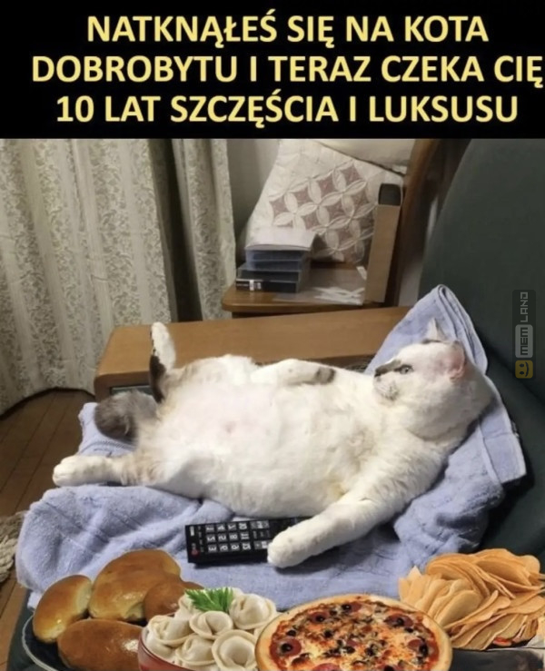 Śmieszny mem: 2751978 - MemLand