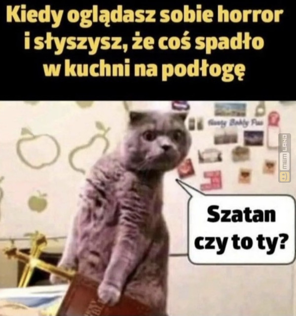 Śmieszny mem: 2756520 - MemLand