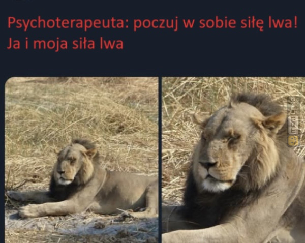 Śmieszny mem: 2763505 - MemLand