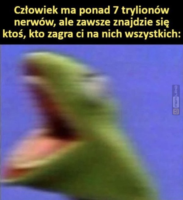 Śmieszny mem: 2765085 - MemLand