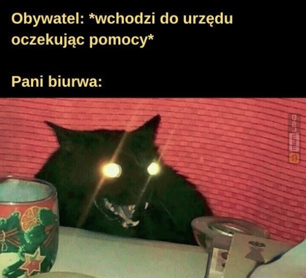 Śmieszny mem: 2781897 - MemLand