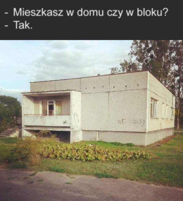 Śmieszny mem: 2782916 - MemLand