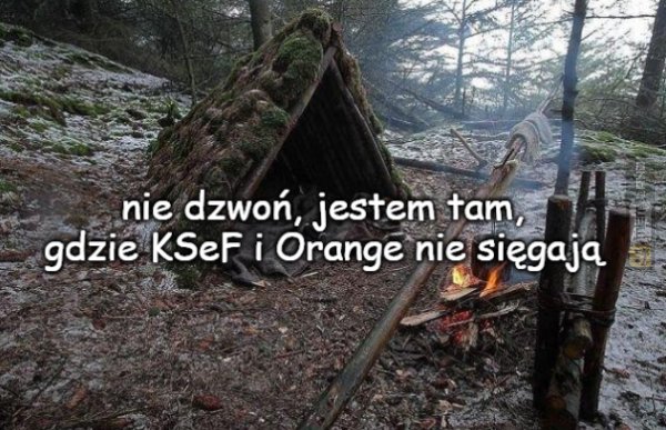 Śmieszny mem: 2789171 - MemLand