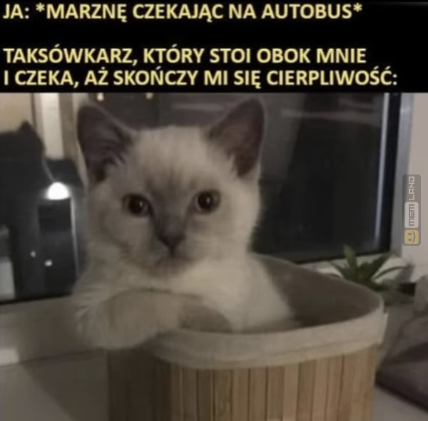 Śmieszny mem: 2791295 - MemLand