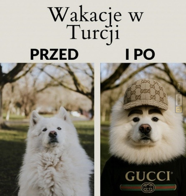 Śmieszny mem: 2792857 - MemLand