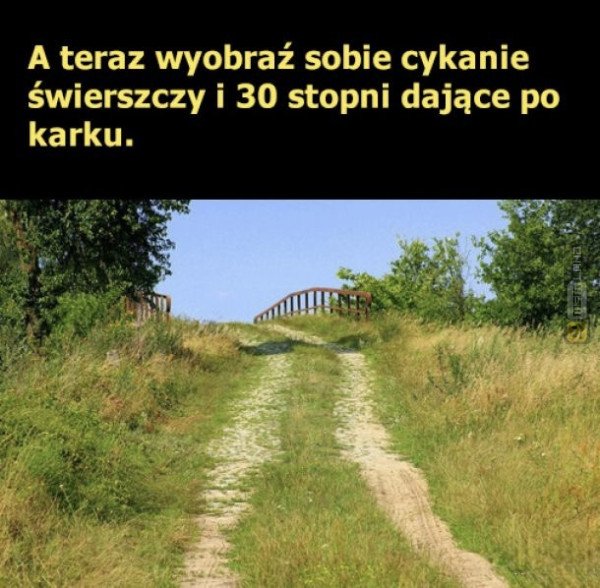 Śmieszny mem: 2806411 - MemLand