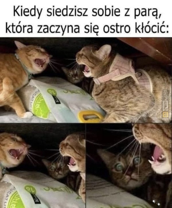Śmieszny mem: 2808720 - MemLand