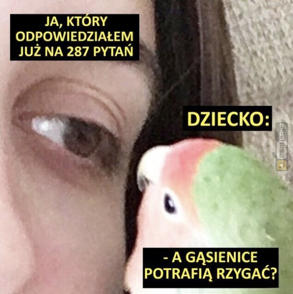 Śmieszny mem: 2811842 - MemLand