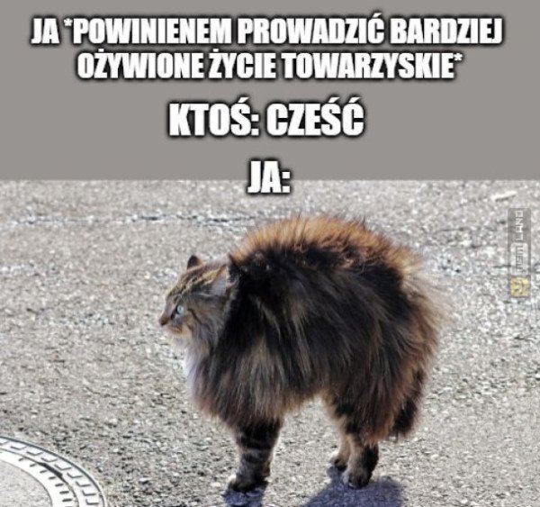 Śmieszny mem: 2816998 - MemLand