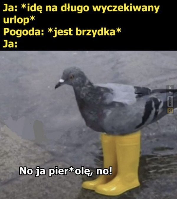 Śmieszny mem: 2820804 - MemLand