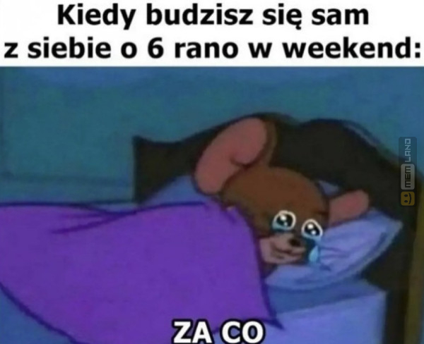 Śmieszny mem: 2822821 - MemLand